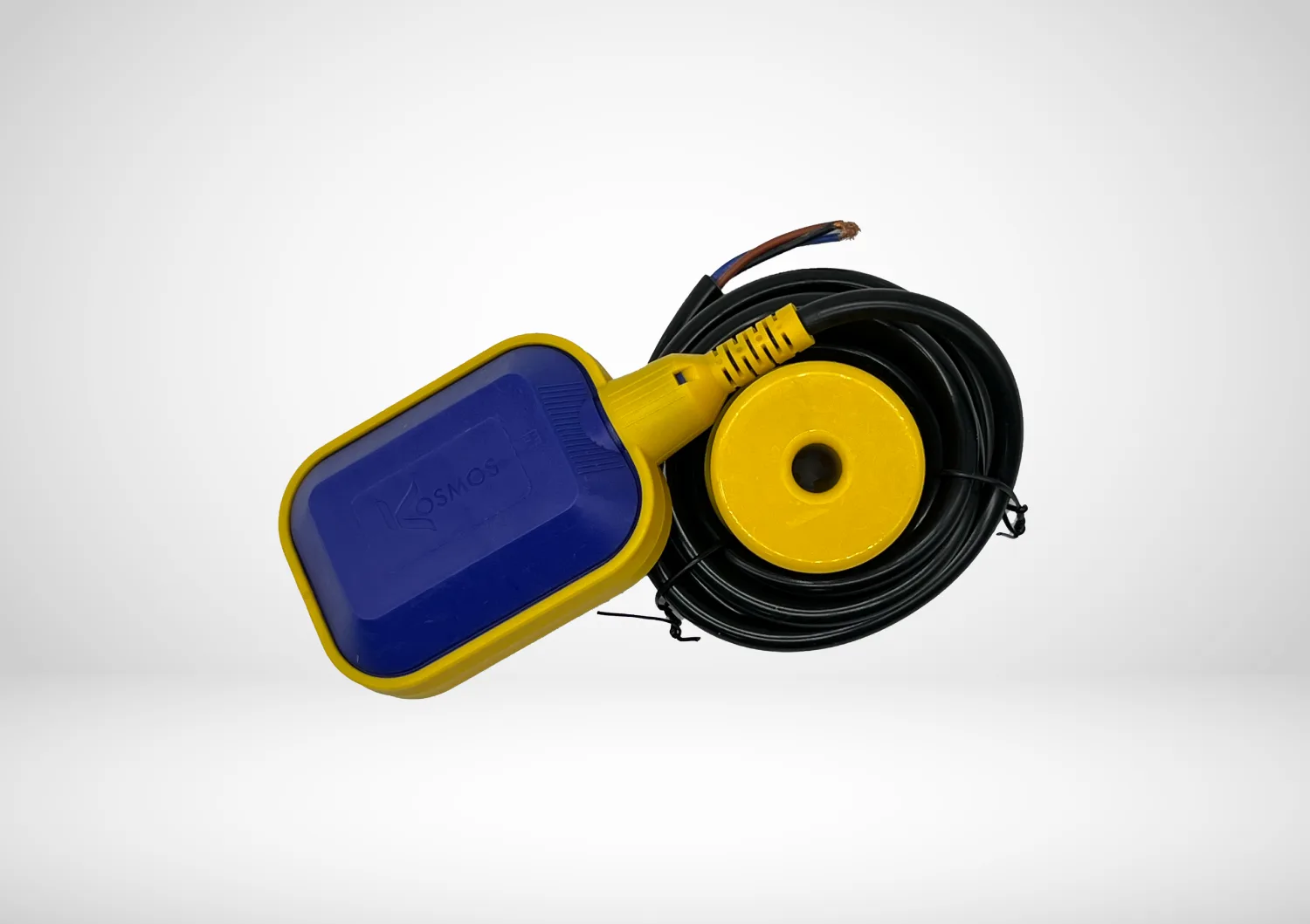 FLOAT SWITCH